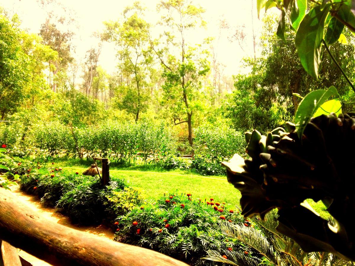 Roshnai Village Resort Bolpur Luaran gambar